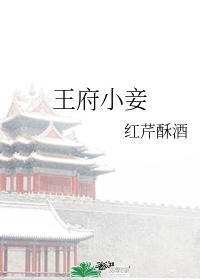 王府小妾剧情解析