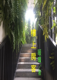 楼上房子设计效果图