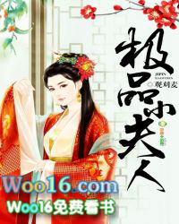 极品小司机小说